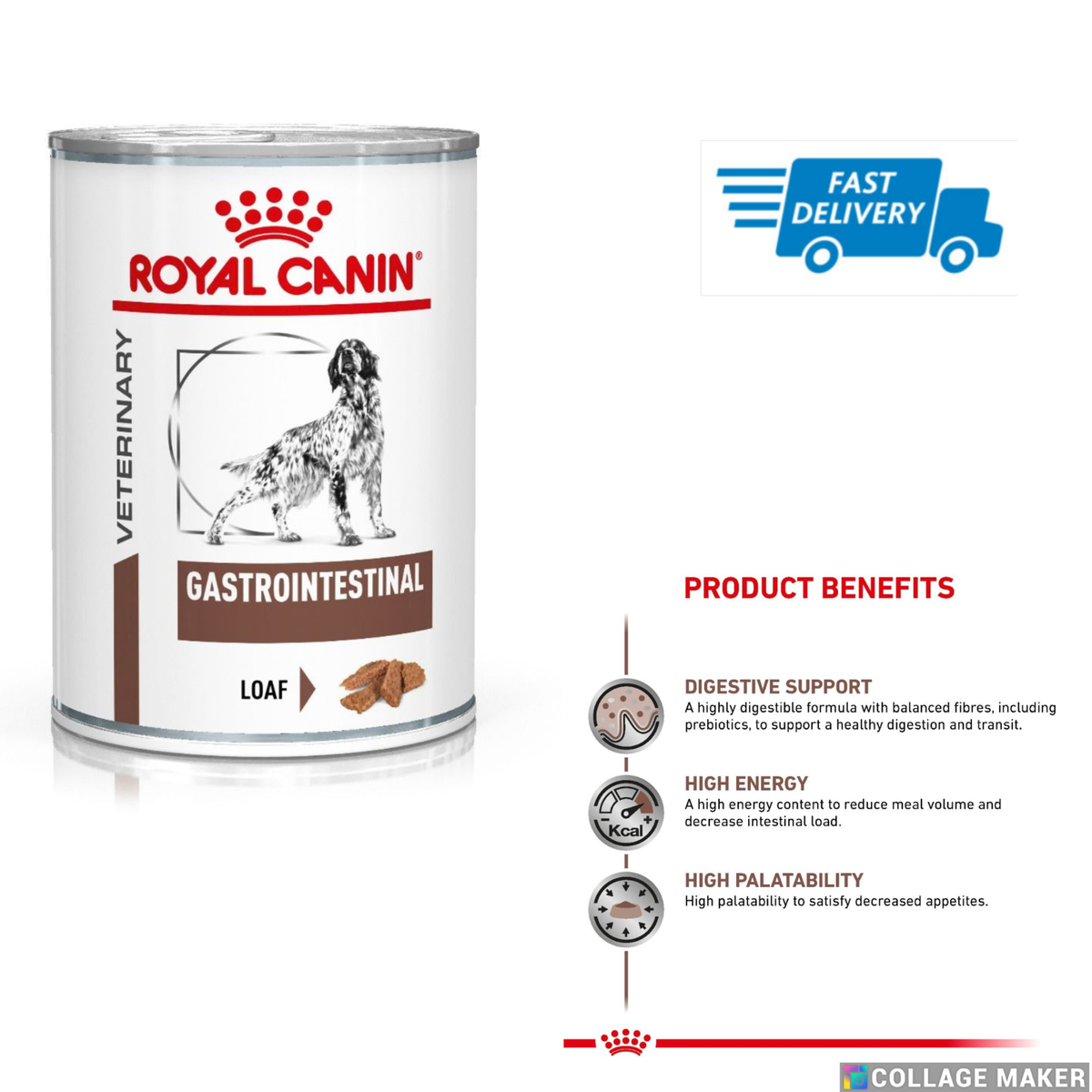 Gastrointestinal Digestion Support Royal Canin Dog Food Wet