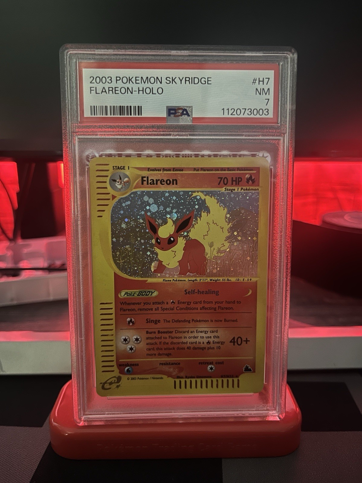 Flareon H7/H32 Skyridge Holo PSA 7