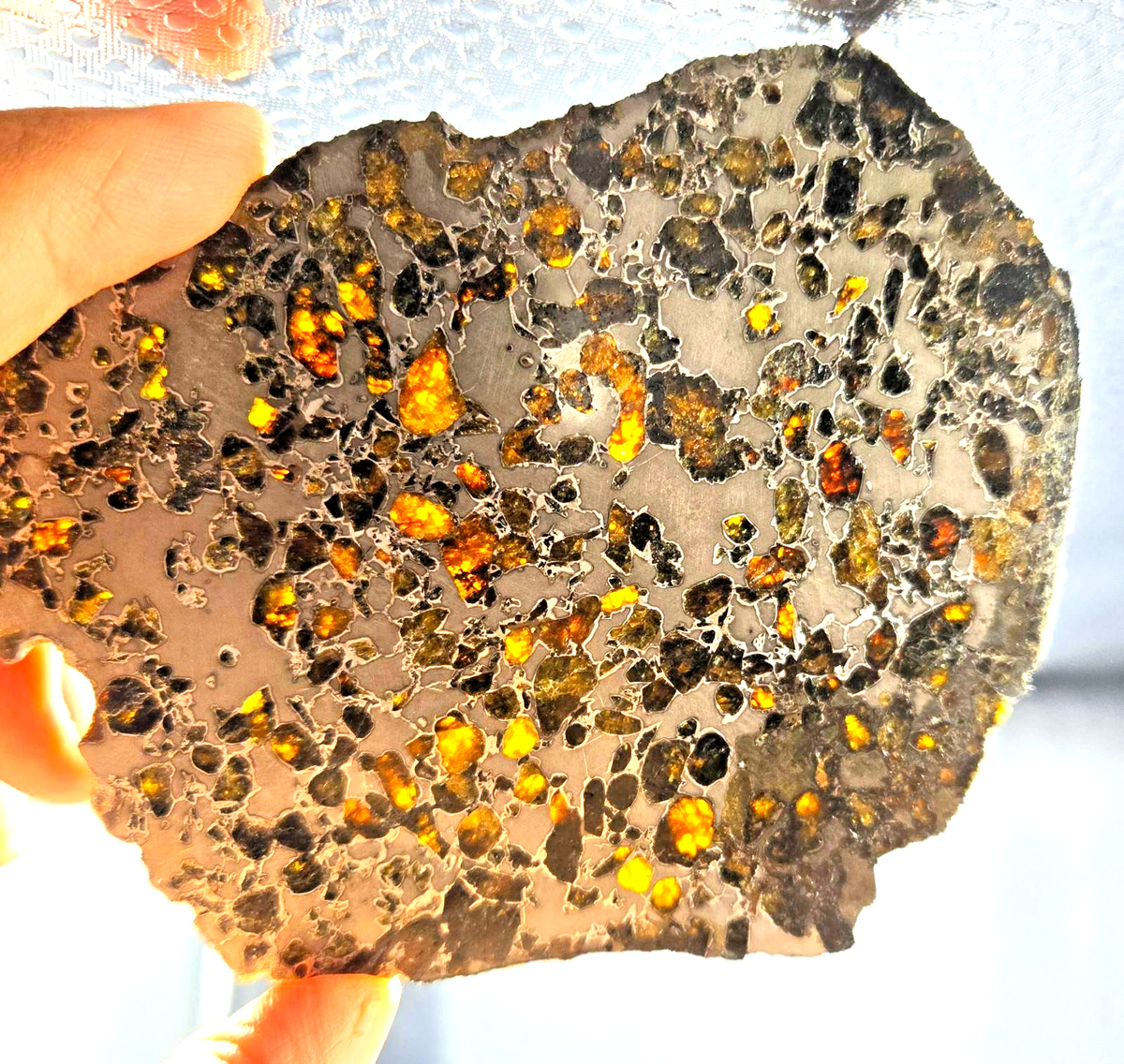 spicygem GAHGA apollo Meteorite アポロ コラボ spicygem GAHGA