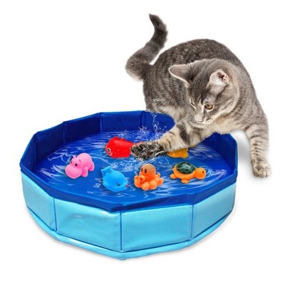Cat Pool Toy Portable 6 Fish Shaped Water Interactive Splash Proof Indoor Play