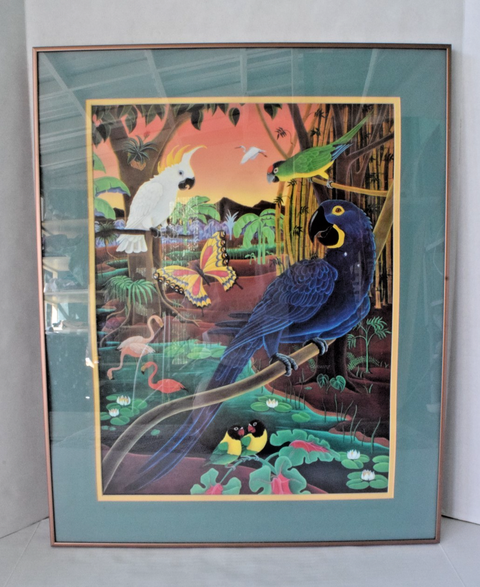 Vintage Framed Print Raul Del Rio 1983 Tropical Birds Rainforest