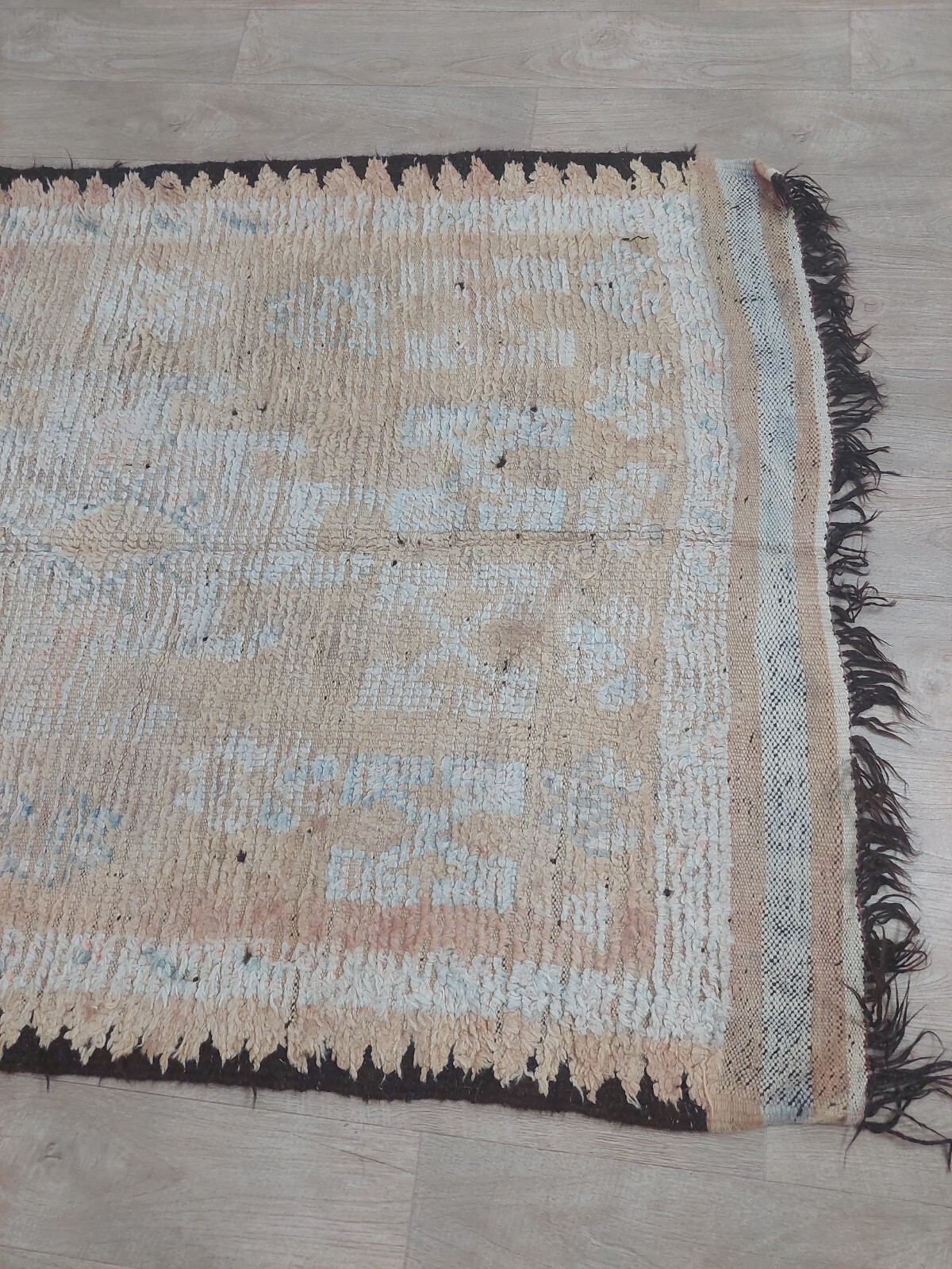 Picture 6 of 11
