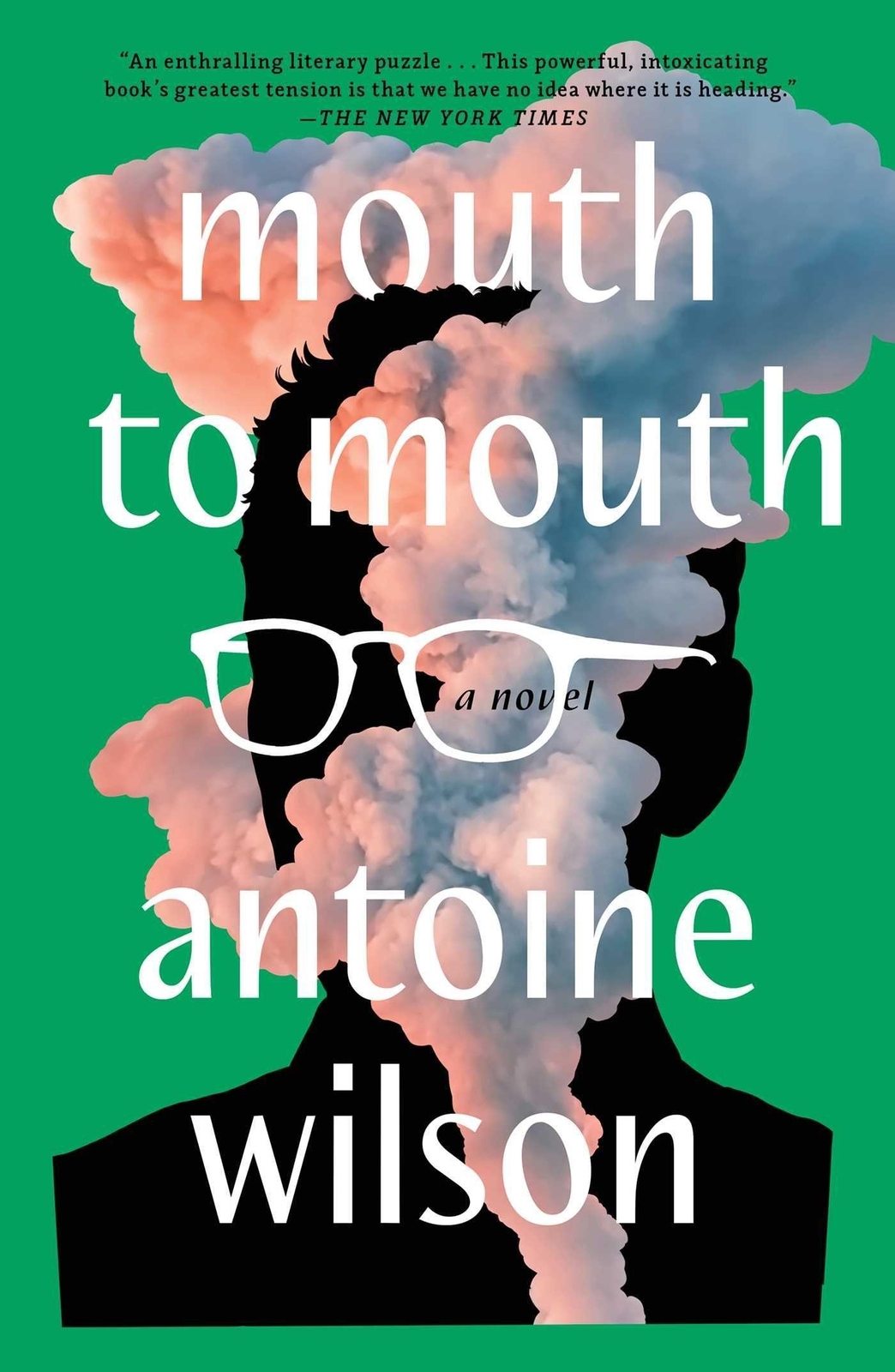 Thumbnail - Mouth To Mouth - Antoine Wilson - 9781982181802