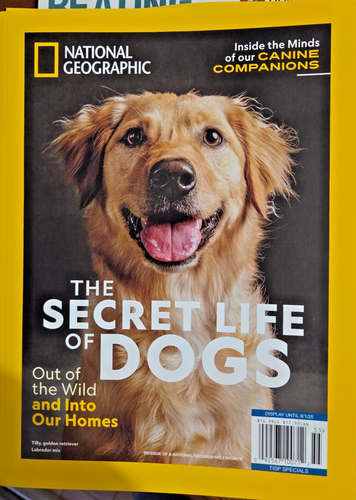National Geographic Magazine-The Secret Life of Dogs-2025-Brand New-Never Read!