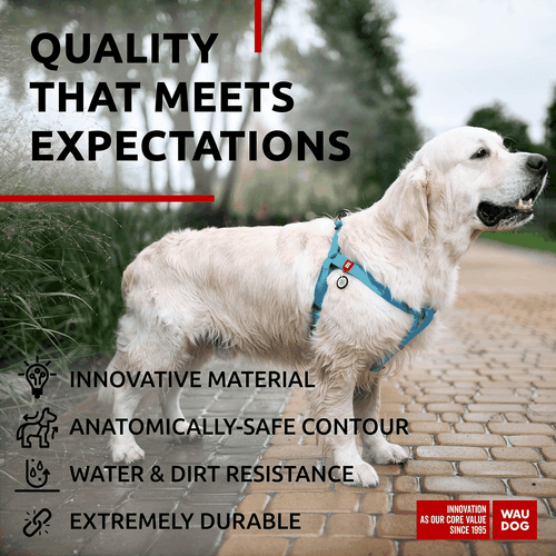 WAUDOG Arnés Impermeable para Perros Arnés Ajustable para Perros Grandes Pequeños y - Imagen 4 de 6
