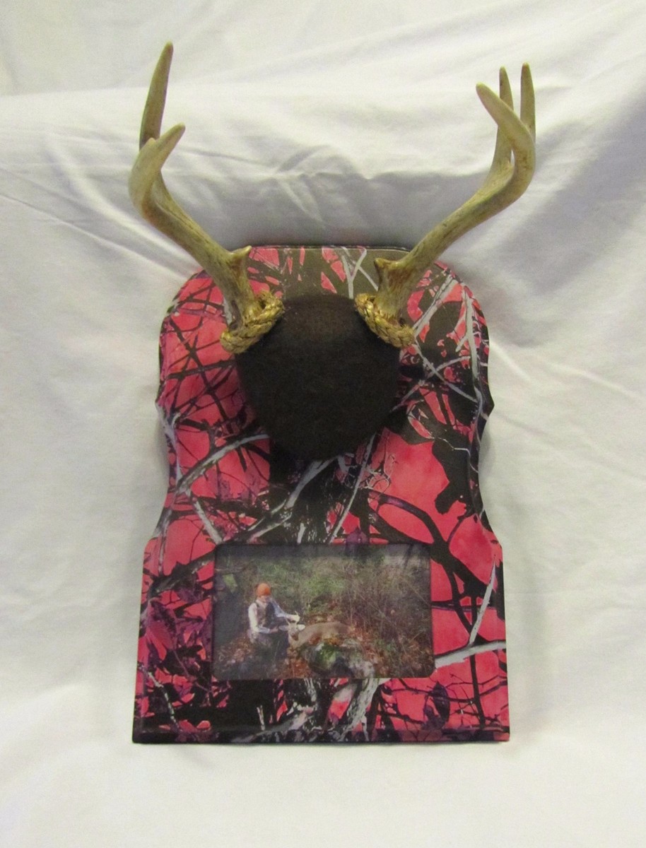 Whitetail Woodcrafters Photo Insert Taxidermy Antler Mounting