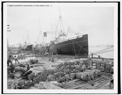 High water at New Orleans, Louisiana, levee c1900 OLD PHOTO