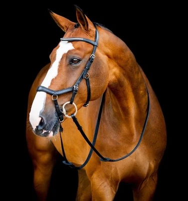 HORSEWARE IRELAND Horseware Trense Micklem 2 Diamante Competition Bridle schwarz COB Vollblut
