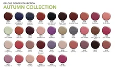 SNS Nail Dipping Powder Autumn Collection (AC)*Choose any color* 1oz