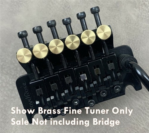 floyd rose brass fine tuners