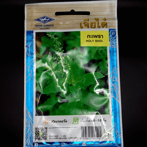 Semillas de albahaca sagrada tailandesa de hoja verde | Semilla asiática 2400 Kappoor Tulsi Kraphao