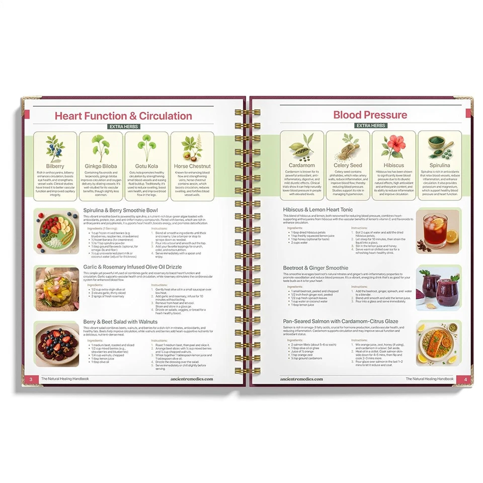The Natural Healing Handbook, Spiral-Bound Guide for Herbal Remedies and Natural - Image 3 of 4