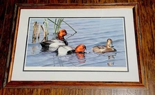 RARE 1996 Ducks Unlimited Dabblin Divers Redhead signed Neal Anderson 1153/4300