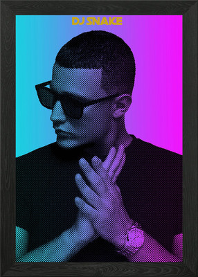 Dj Schlange gerahmtes Wandbild Poster Leinwanddruck Bild