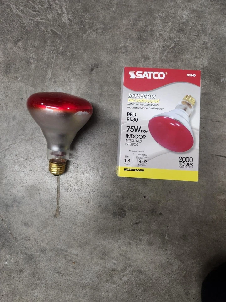 Satco S3240 75W R30 Red Medium Base - Image 4 of 4