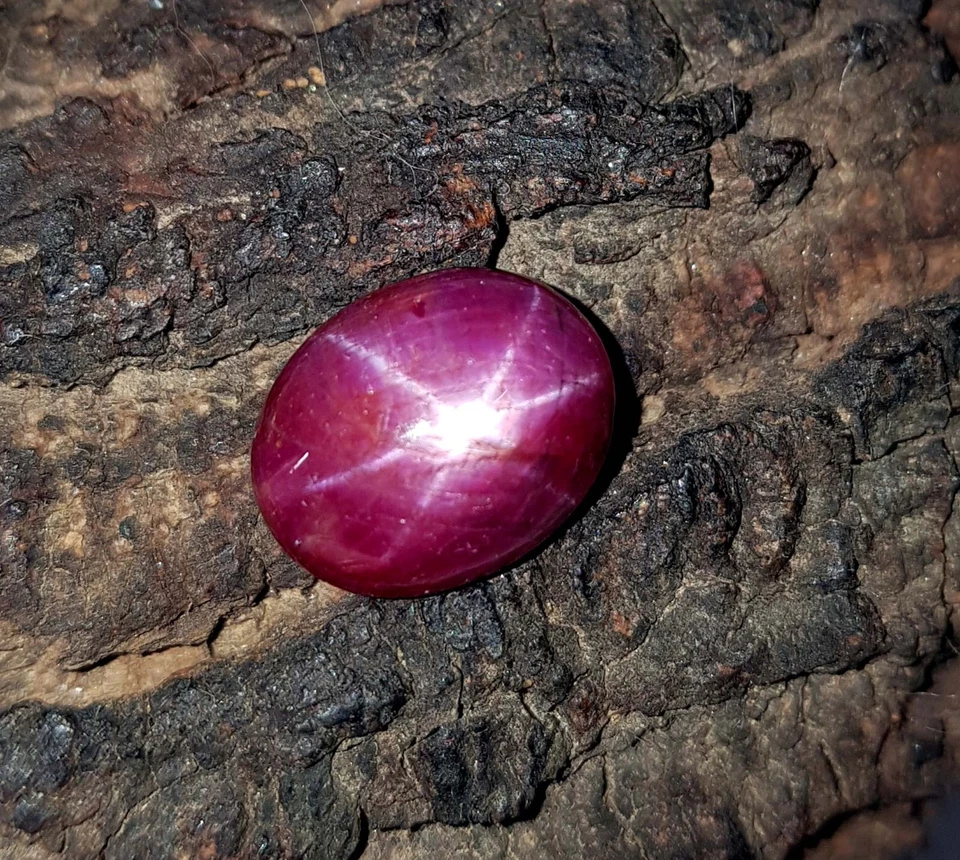 7.99 Ct Natural Mozambique Ruby Oval Shape Untreated 6 Rays Star Cabochon Gems - Image 2 of 4