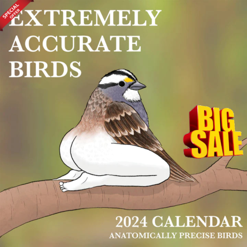 2024-calendar-of-extremely-accurate-birds-ebay