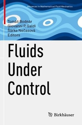 Fluids Under Control - 9783031473579