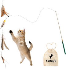 Cat Wand Toy Retractable 4 Feather Refills Indoor Enrichment Interactive Bored