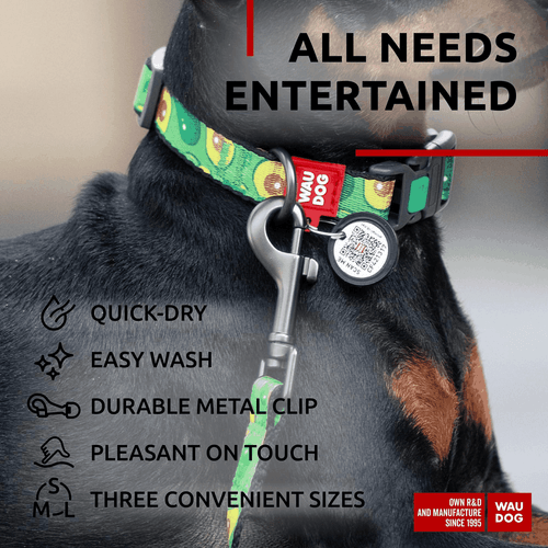 Nylon Dog Leash for Small Dogs and Medium Dogs 4 Ft Strong Dog Leash for - Picture 5 of 6