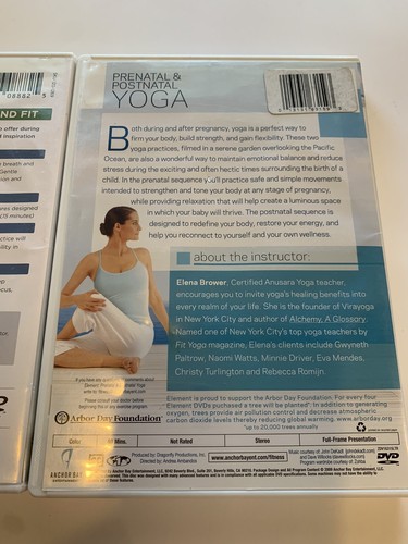 Prenatal & Postnatal Workout DVD Lot - Summer Sanders, Shiva Rea, Gaiam, Element - Picture 7 of 12