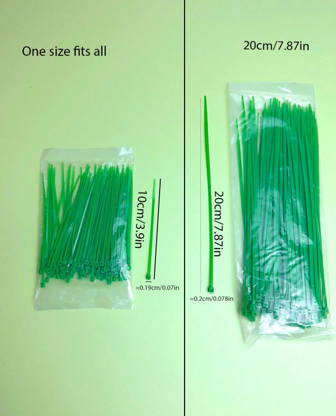 Picture 4