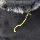 Bild 4 von 7