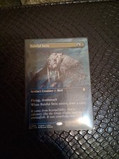 MTG Baleful Strix (Borderless) Commander: Bloomburrow #0086 Nm