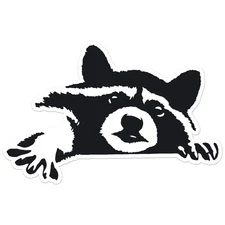 Peeking Raccoon - Vinyl Decal Sticker - Car Window Laptop - ebn12049