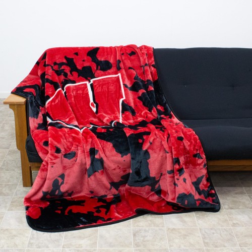 Everything Comfy Wisconsin Badgers Soft and Warm Huge Raschel Throw Blanket, ... - Picture 7 of 7