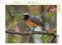 Calvendo Puzzle Garden Redstart | 1000 Pieces, Finished Size 25.2 × 18.9 In (64