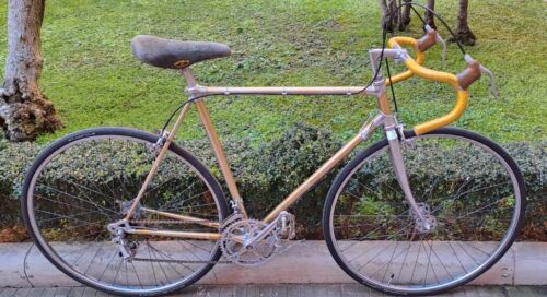 ALAN Rekord first model 1973 CORSA NUOVO RECORD CAMPAGNOLO Vintage Bike Eroica - Foto 1 di 24