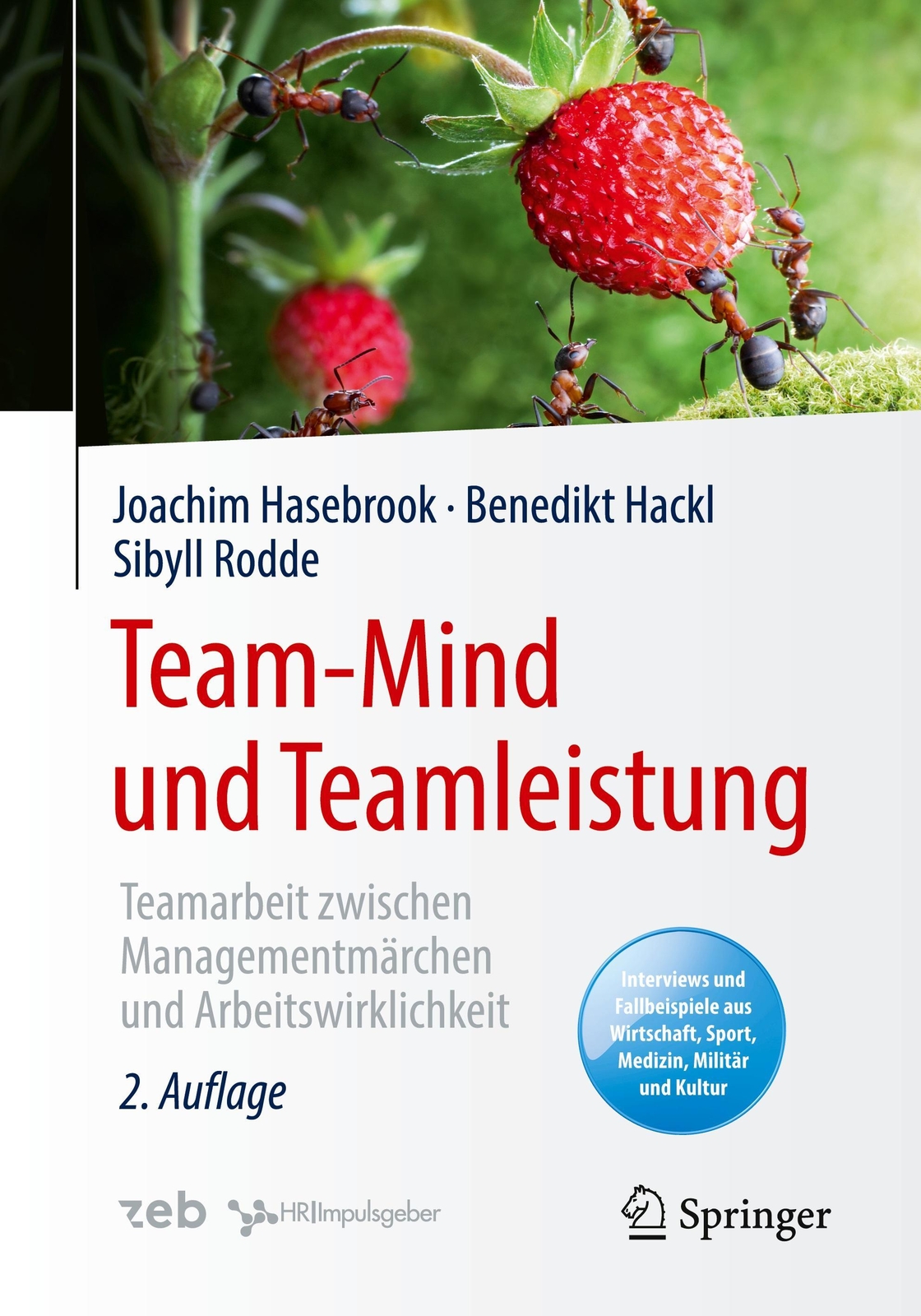 Thumbnail - Team-mind Und Teamleistung | Teamarbeit Zwischen Managementmärchen Und