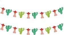 Final Fiesta Banner Garland Cactus Banner for Mexican Fiesta Bachelorette Party