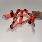 Foto 7 di 12