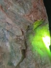 California Nevada Idocrase Vesuvianite 4 LB Collector Rough Gem Grade Lapidary — photo 3