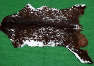 GOAT Western taxidermy Hide Rug Natural Pattern Fur Goat Hide Rode SA-1003