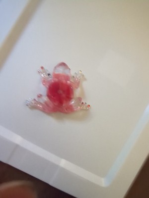 White Polka. Red Flower Handmade One-of-a-kind Frog