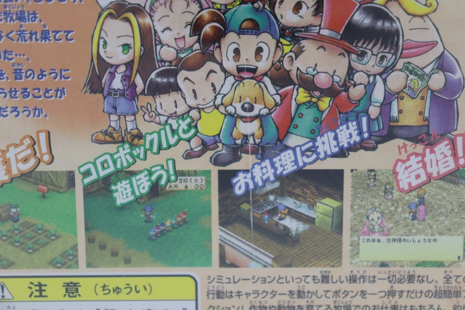 Harvest Moon: Back to Nature Sony PS1 JP Game REGION LOCKED (No Manual) Used - Image 4 of 4