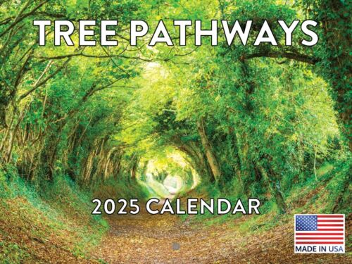 Tree Pathways Nature Calendar 2025 Scenic Trees Monthly Wall Calender 12 Mont...