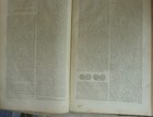 Bild 18 von 24