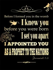 Appointed Helen Chen Art Print 11x14