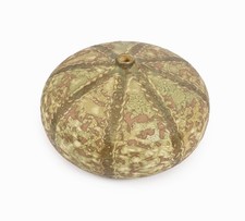 Vintage Decorative Ceramic Vase Gotlind Gerald Weigel Style Green Studio Bulbous