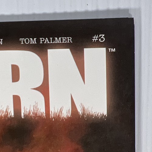 Punisher: Born #1-4 Complete Series Origin Story Marvel MAX 2003 NM High Grade - Picture 17 of 24