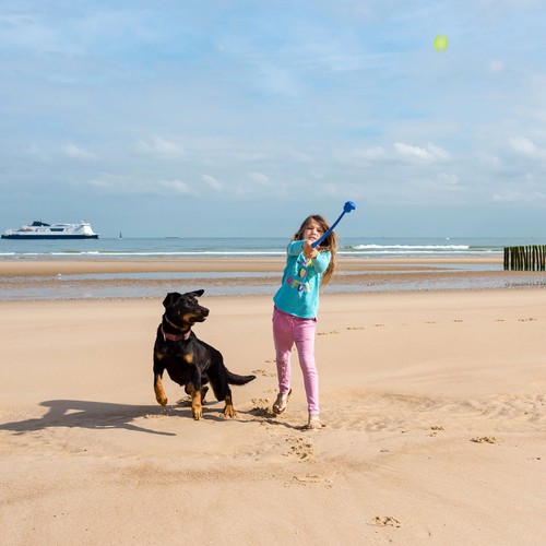 Ballschleuder für hunde Ballwerfer Set 20 Bälle Kunststoff Wurfgerät für Hunde - Bild 3 von 9