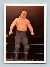 NWA Wonderama 1988 Wrestling card #327 - Road Warrior Animal "Rookie" card F/S