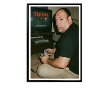 Tony Soprano Video Game Poster Cult Classic TV Show Home Decor Movie Prints
