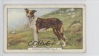 1938 Gallaher Dogs Series 2 Tobacco Smooth-Coated Collie #44 0a4f