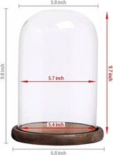 Klarglas Cloche Glocke Glas Vitrine mit rustikalem Holzsockel, 10 x 7 cm