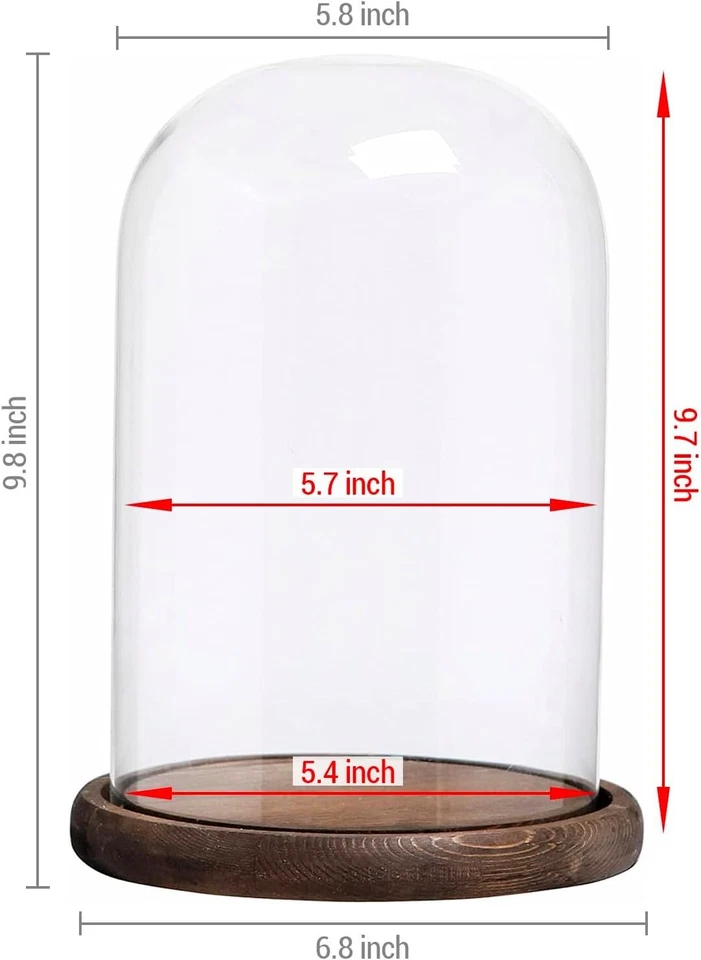 Vitrina de vidrio transparente Cloche Bell Jar con base de madera rústica, 10 X 7 pulgadas Foto 4 de 4